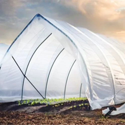thumbnail for publication: The Cost of High Tunnel and Caterpillar Tunnel Establishment for Vegetable Production